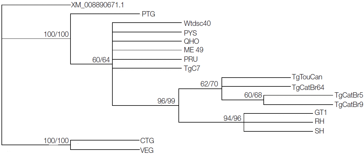 kjp-53-3-345f1.gif